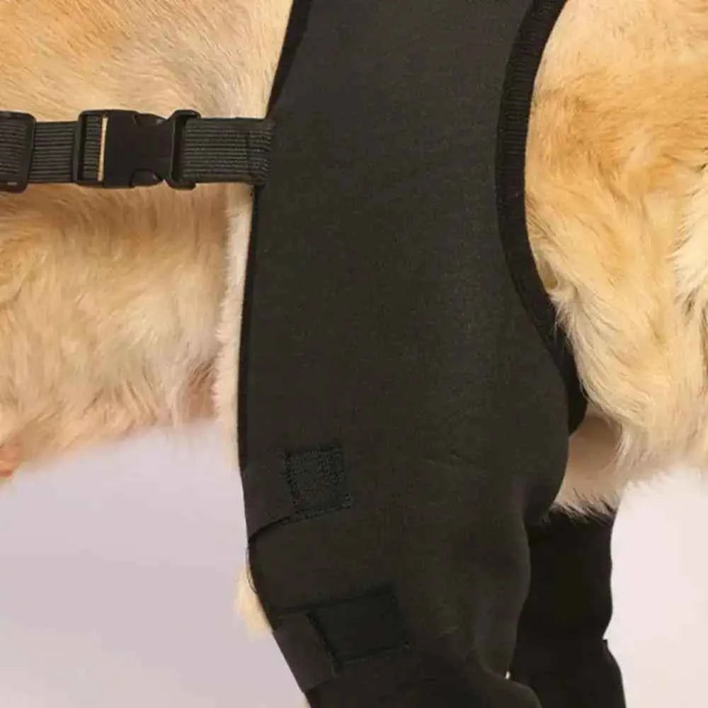 Dog Leg Support Brace