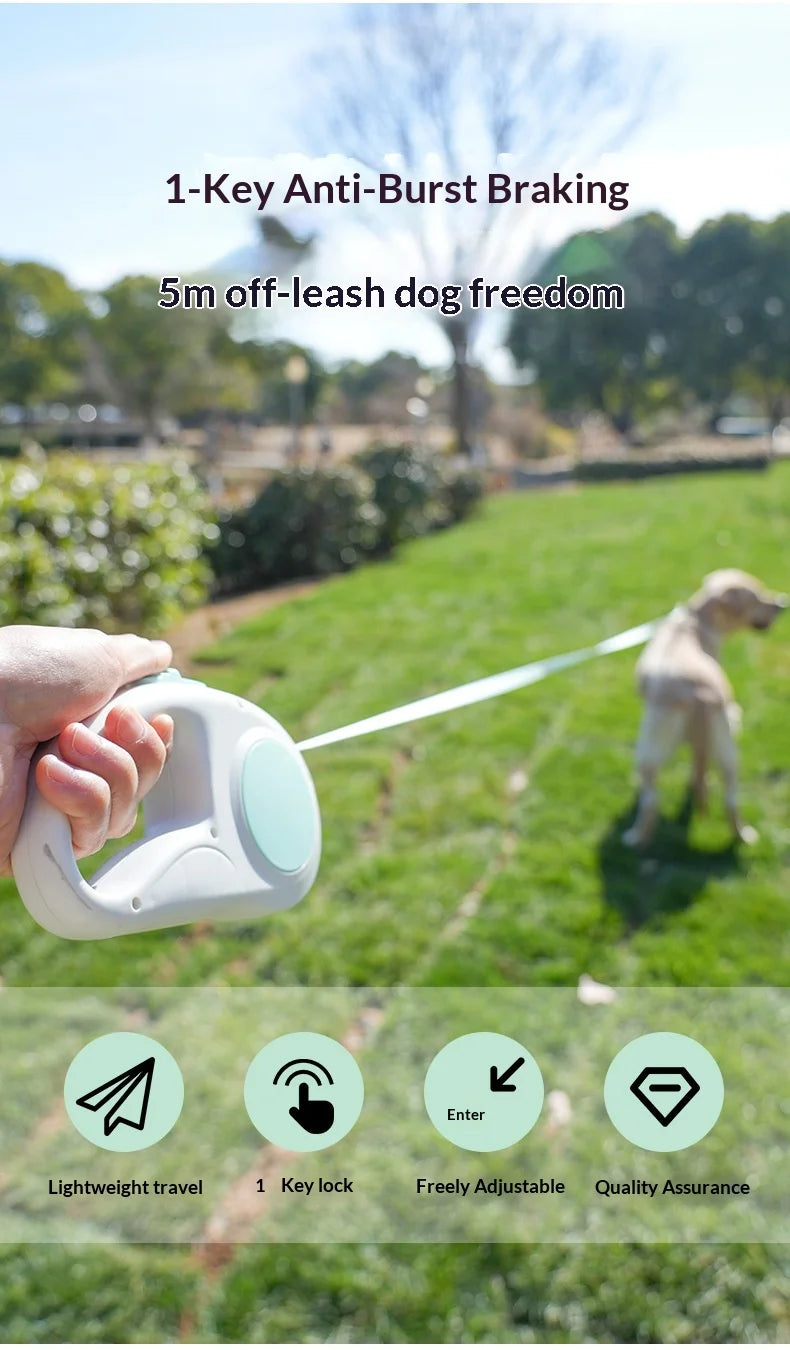 3/5 Meter Retractable Pet Leash for Small Dogs