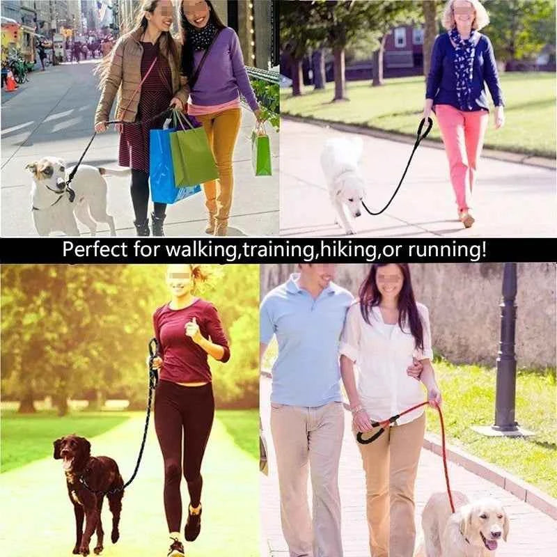Heavy Duty Large Breed Leash