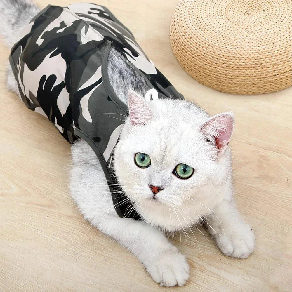 Post Surgery Cat Onesie
