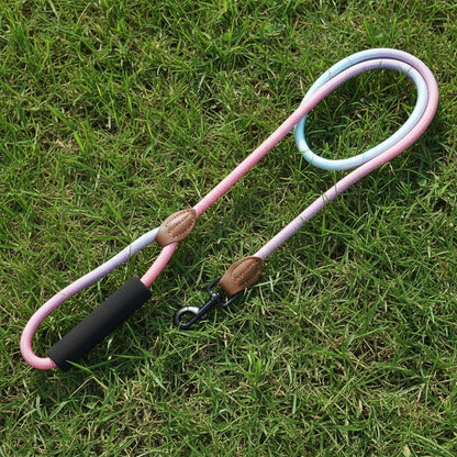 Large Breed Leash