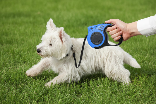 Automatic Retractable Dog Leash with LED Flashlight
