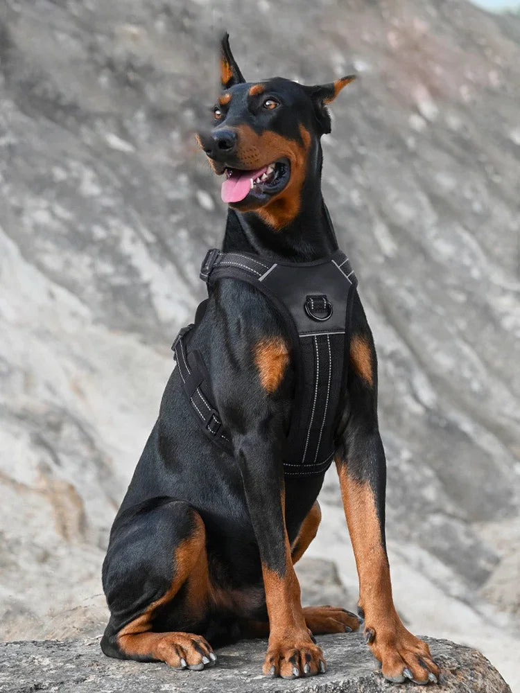 Large Breed Tactical Harness