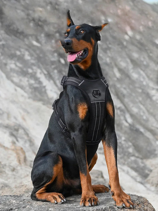 Large Breed Tactical Harness