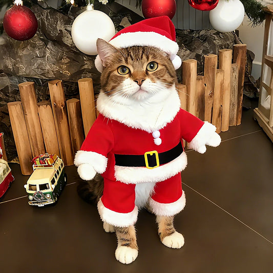 Cat Holiday Santa Suit
