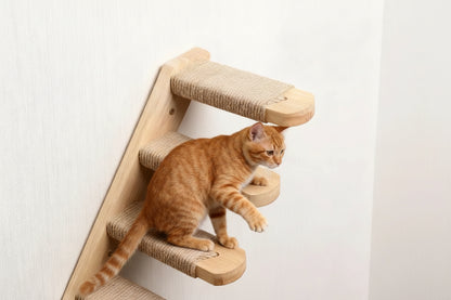 Wooden Climbing Steps