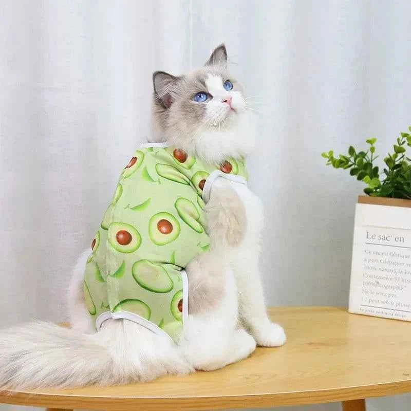 Kitty Recovery Pajamas