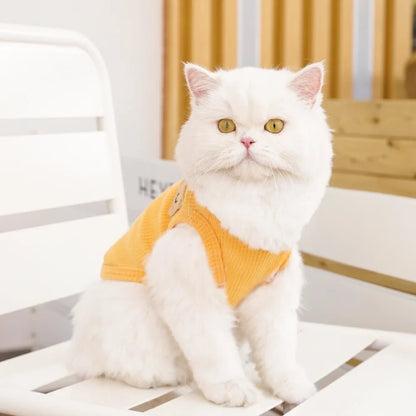 Cat 'Teddy Bear" Cotton Shirt