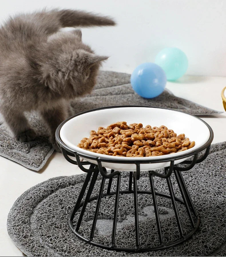 Raised Ceramic Pet Bowl - Waggy World