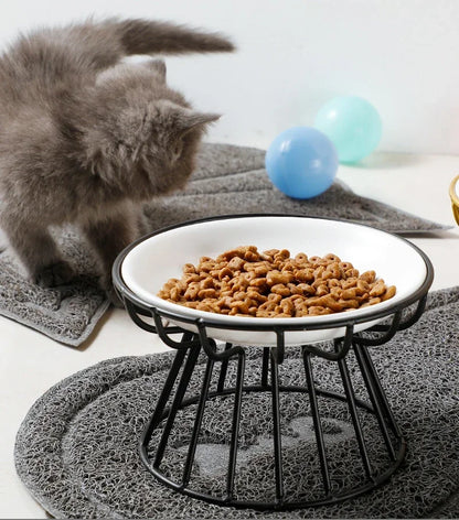 Raised Ceramic Pet Bowl