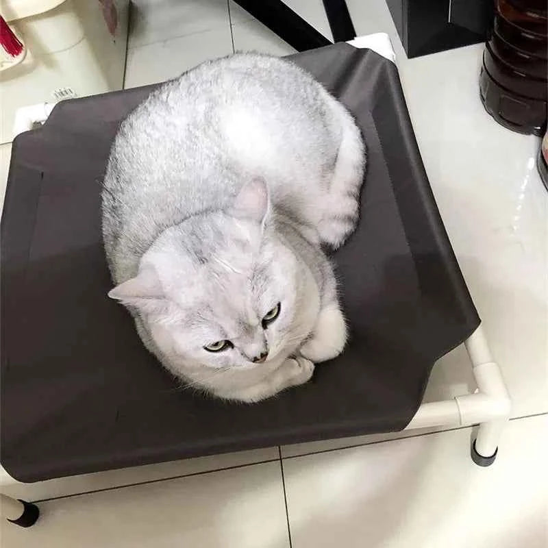 Pet Canopy Bed