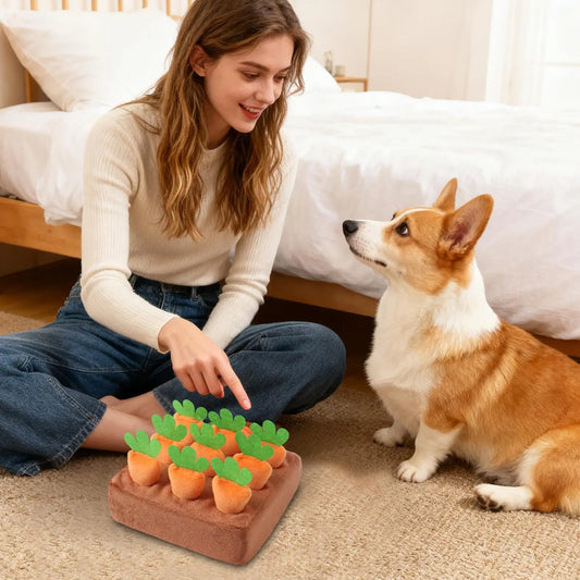 Small Breed Snuffle Mat