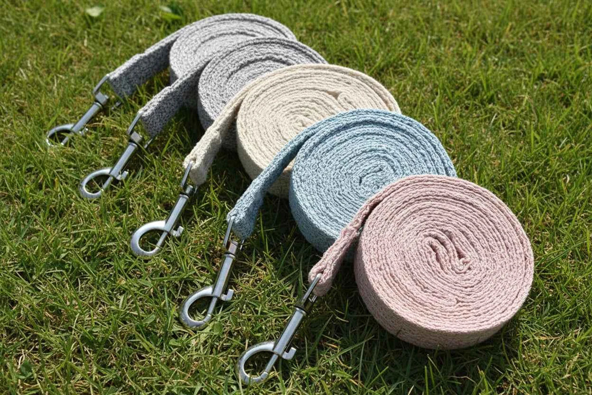 Small Breed Leash/Harness Combo
