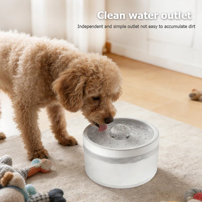 Automatic Water Dispenser