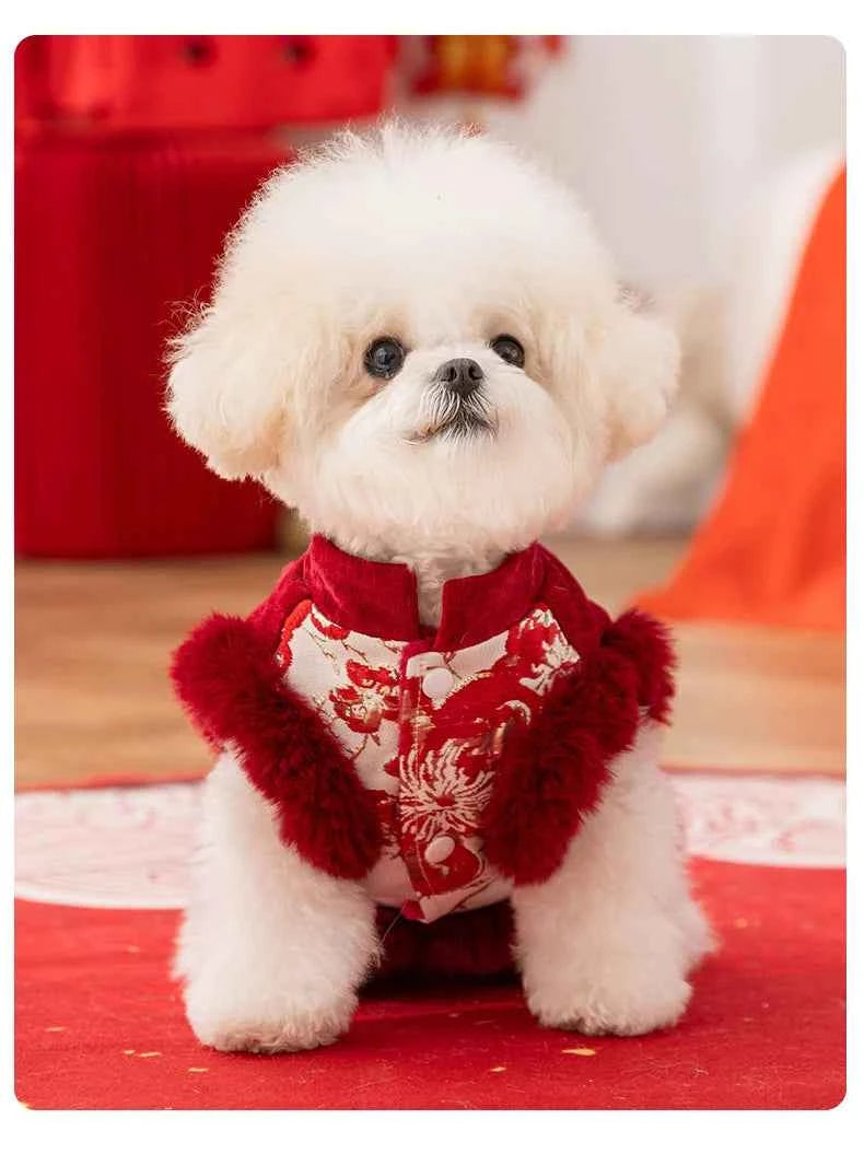 Charming Small Breed Dog Vest for New Year Celebrations