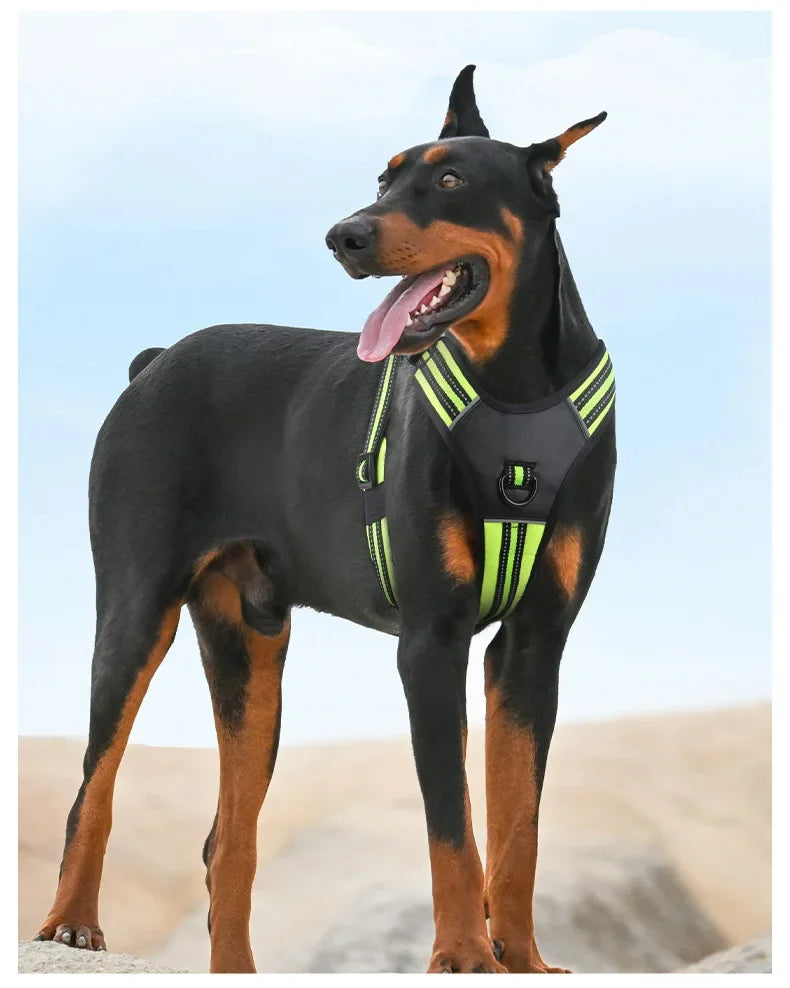 Large Breed Tactical Harness