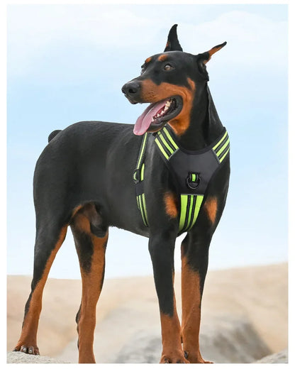 Large Breed Tactical Harness