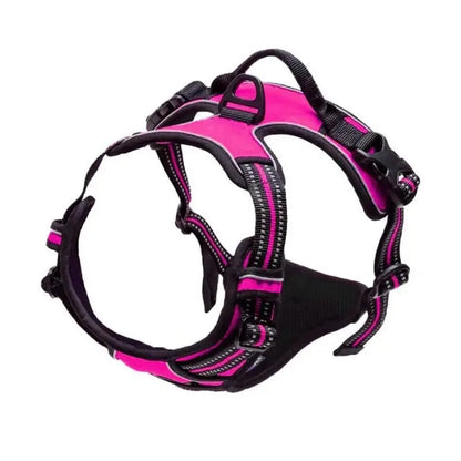 Dog Harness Collar & Leash Set Front View