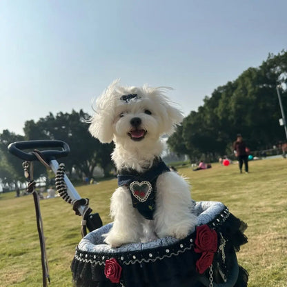 2026 Foldable Pet Stroller for Small Dogs & Cats