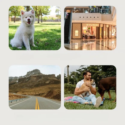 3-in-1 Luxury Pet Stroller