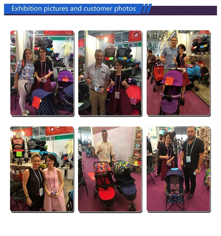 Customized Aluminum Pet Stroller