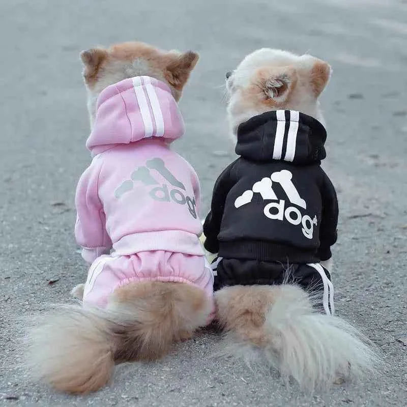 Doggy Sweat suit