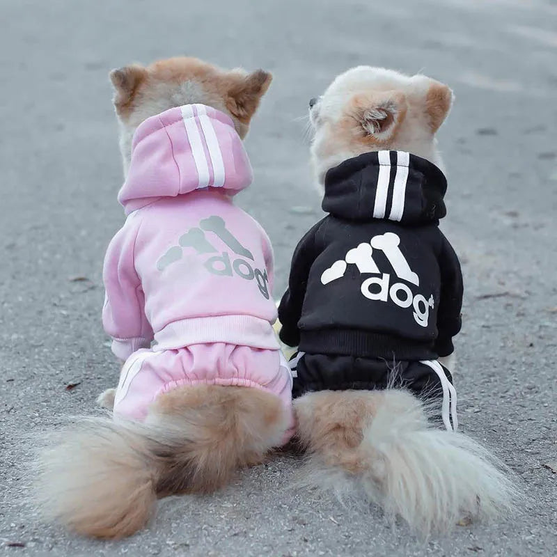Doggy Sweat suit