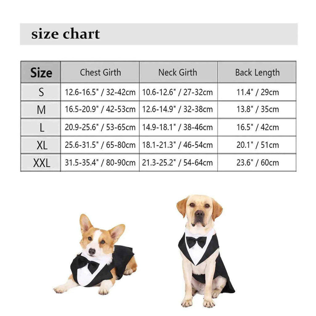 Doggy Tuxedo