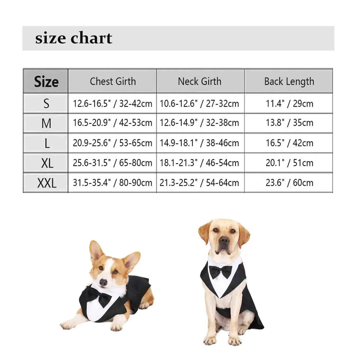 Doggy Tuxedo