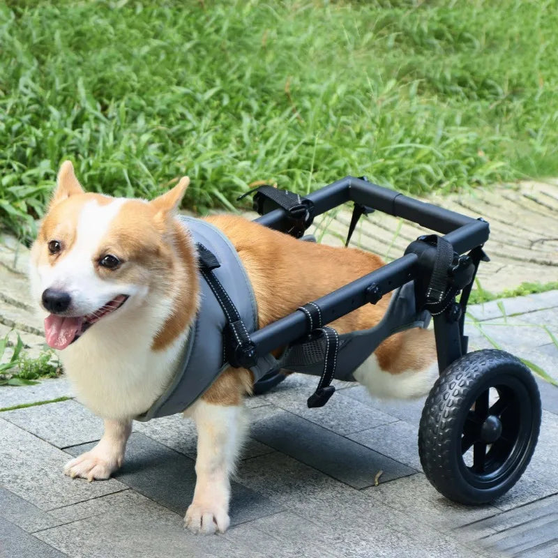 Pet Rehabilitation Mobility Cart - Waggy World