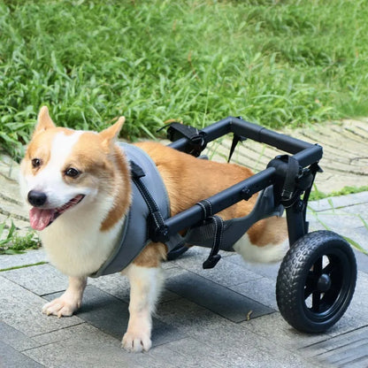 Pet Rehabilitation Mobility Cart