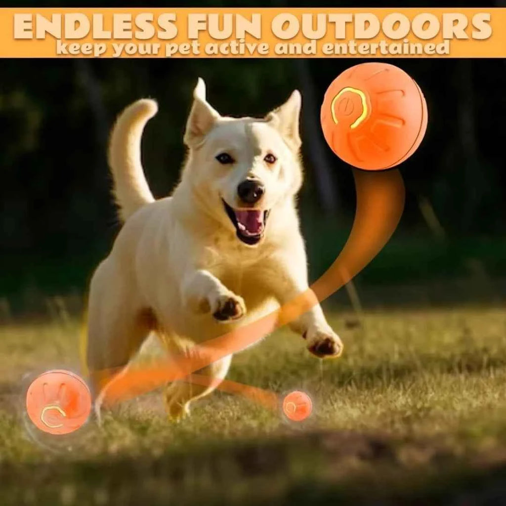 Pet Gravity Ball