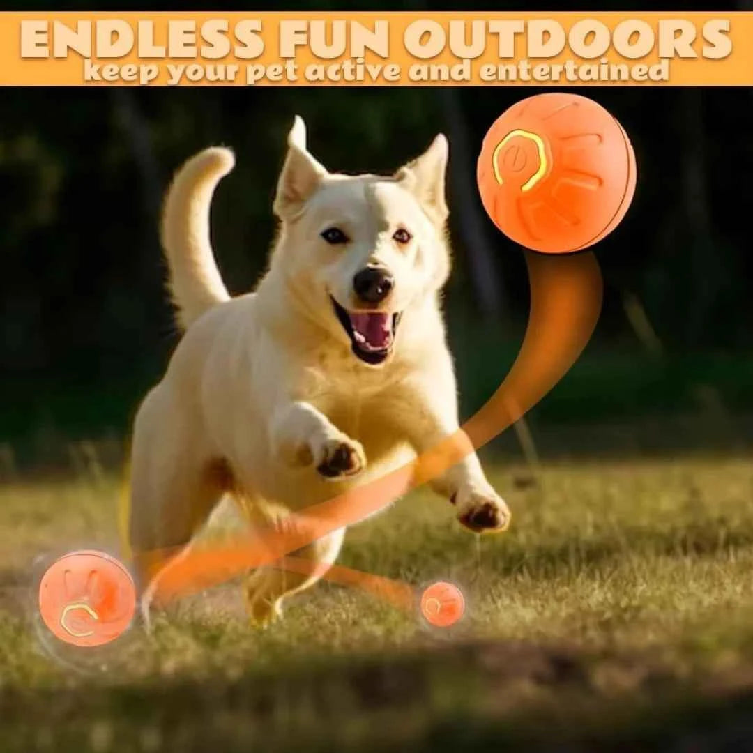 Pet Gravity Ball