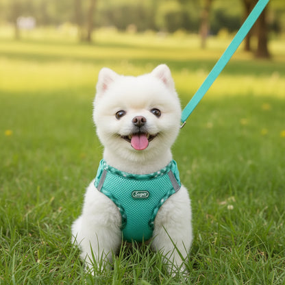 Stylish Small Breed Pet Harness
