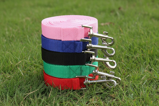 Small Breed Nylon Leash
