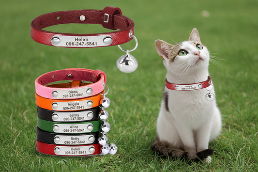 Personalized Cat Collar