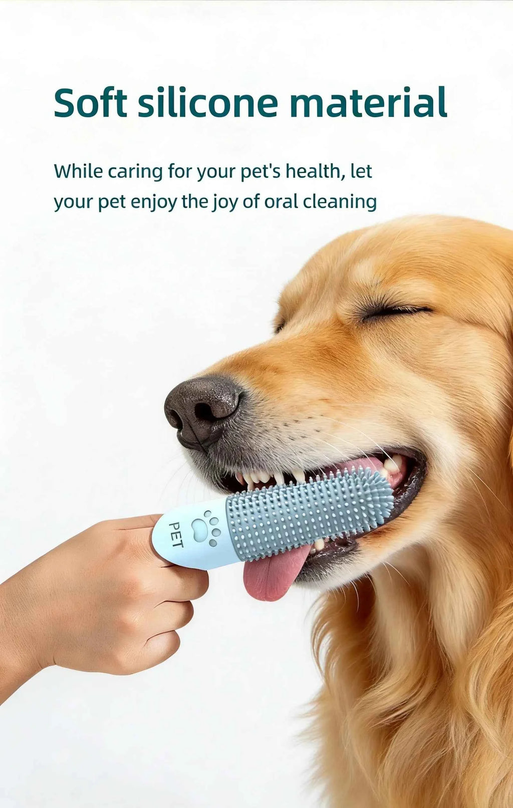Pet Teeth Cleaning Tool