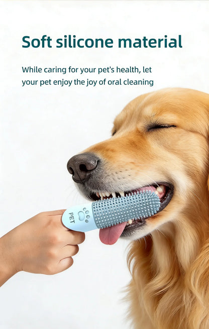 Pet Teeth Cleaning Tool
