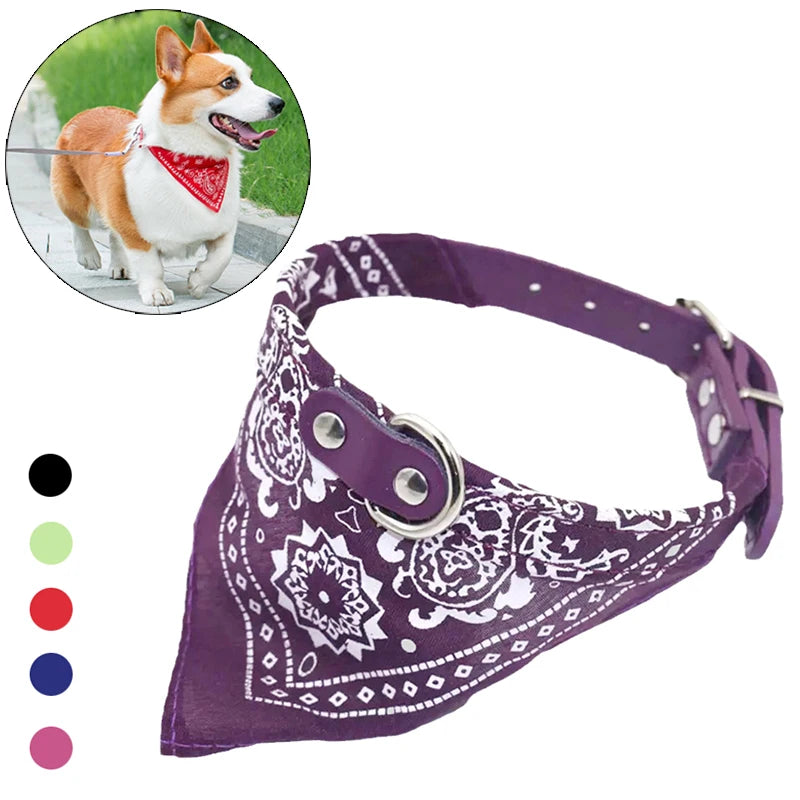 Bandana Collar