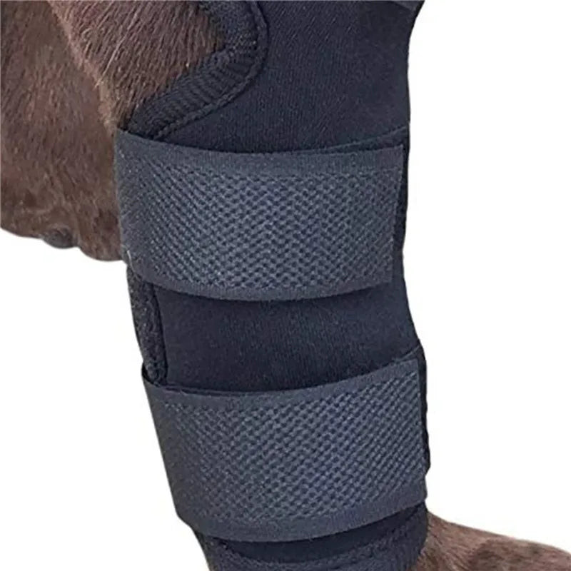 Pet Leg Sleeve