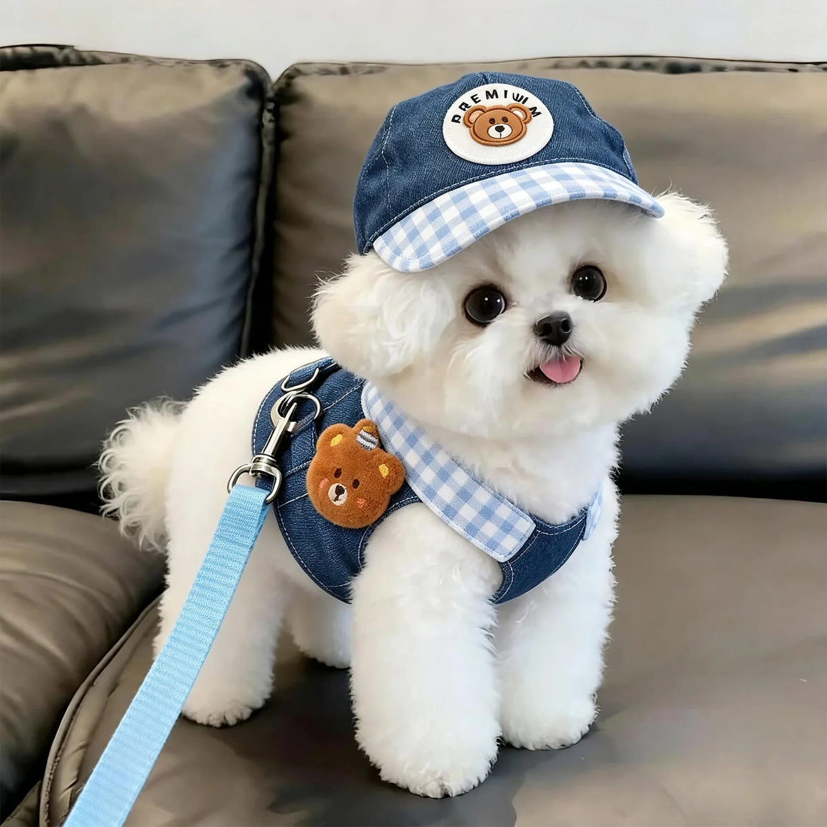 Small Breed Denim Harness and Hat - Waggy World