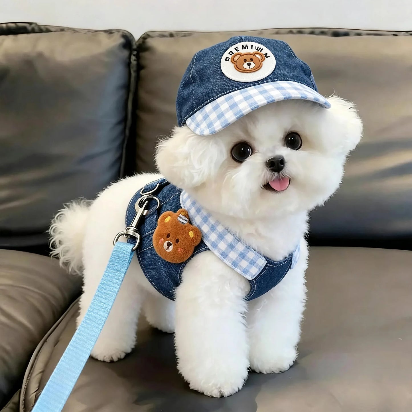 Dog Clothes 2026 New Dog Harness and Leash Set Denim Pet Vest with Sun Hat for Small Dogs Cats Puppy
