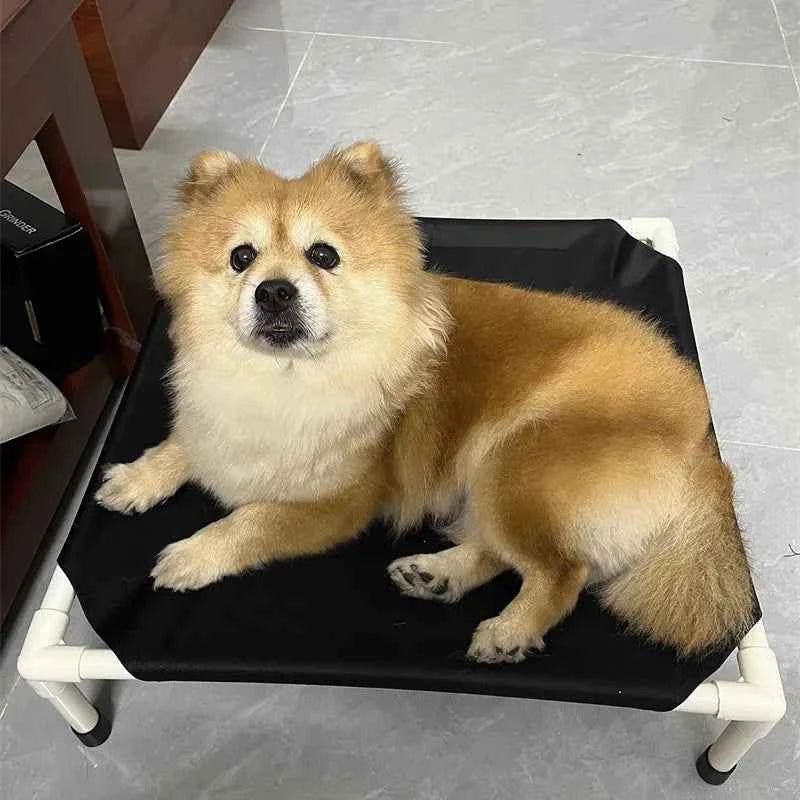 Pet Canopy Bed