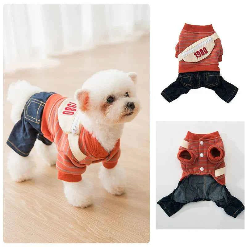 Pup School Outfit