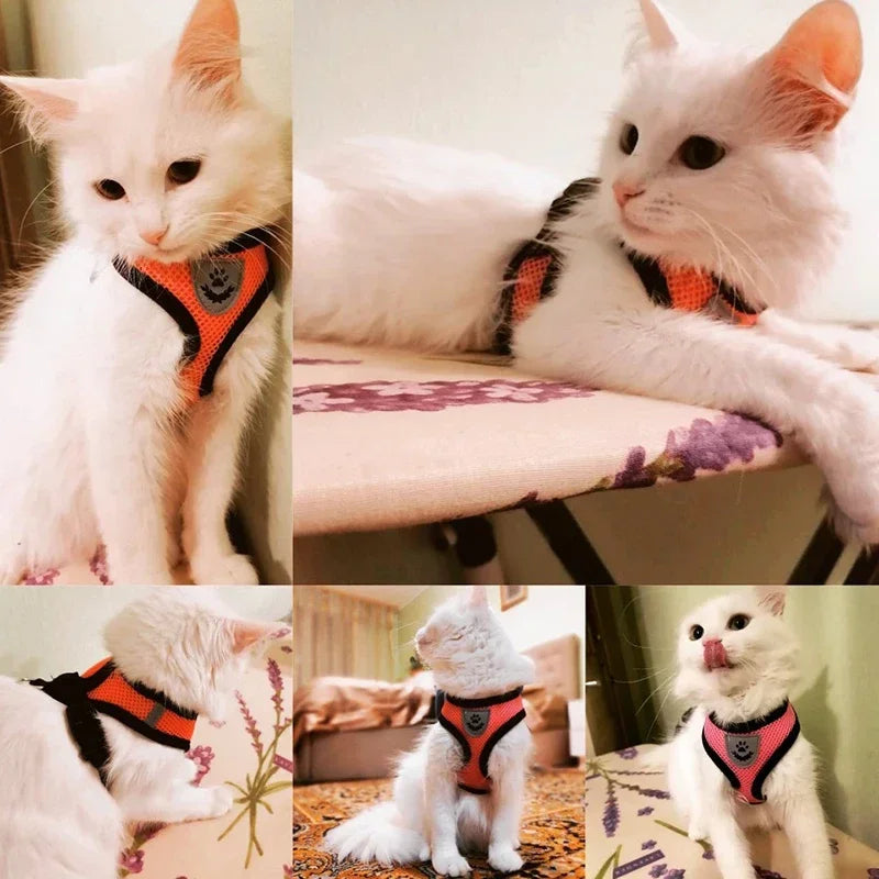 Kitty Harness Vest