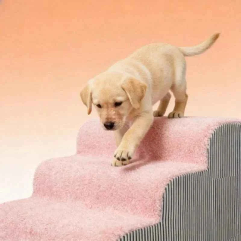 2/3 Pink Pet Steps