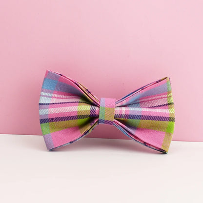 Custom Name Collar & Bowtie