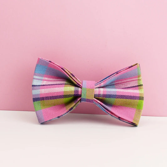 Custom Name Collar & Bowtie