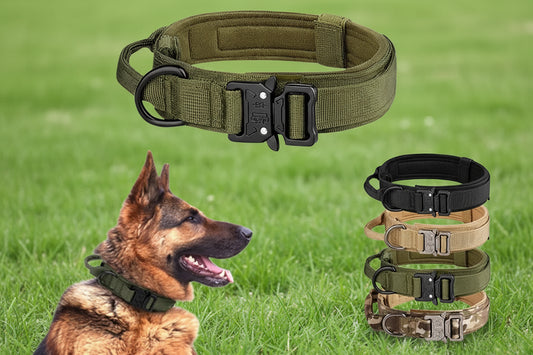 Large Breed Tactical Collar