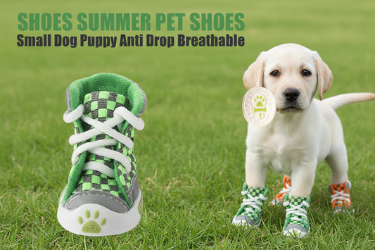 Summer Pet Shoes